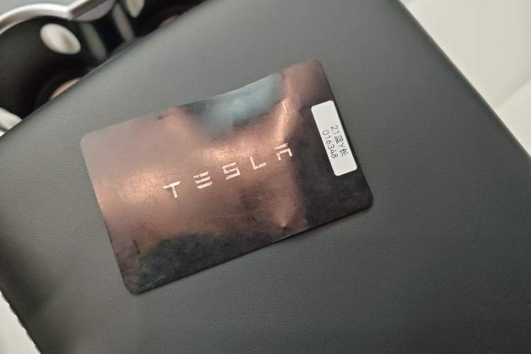 Used Tesla Model Y 2021 Long-Range All-Wheel-Drive Version