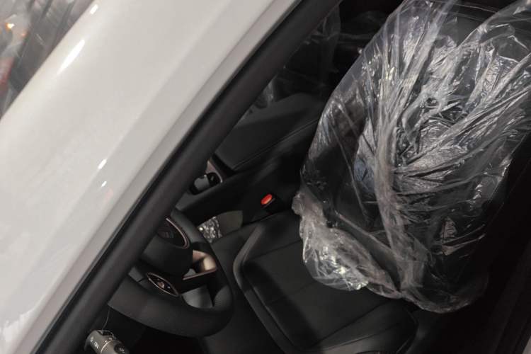 Used Wuling Xingguang 2025 70km Smart Standard Version
