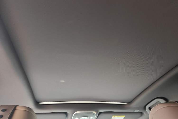 Used BYD Tang New Energy 2024 DM-i Glory Edition 112KM Prestige Model Headliner