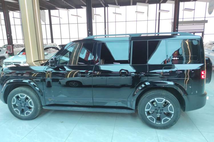 Used Formula Leopard Tai 7 2025 Model 200 km Two-Wheel Drive Max Edition
