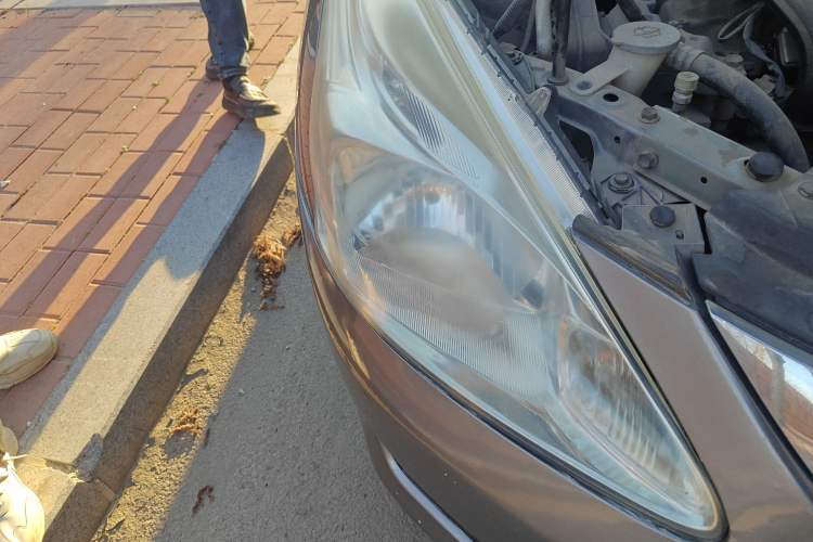 Used Nissan Tiida 2011 1.6L Manual Comfort Edition
