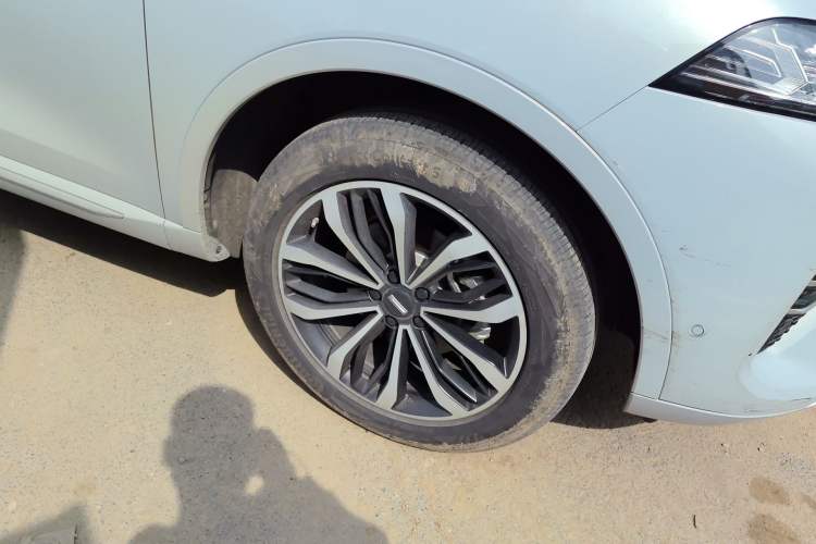 Used Wey Mocha 2021 2.0T Two-Wheel-Drive Premium Edition
