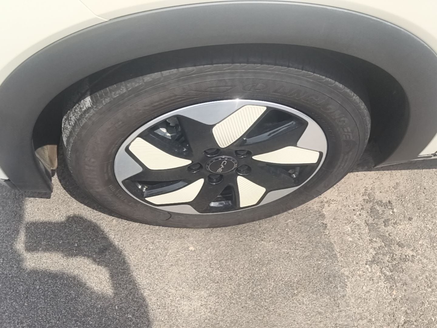 BYD Dolphin 2024 Honor Edition 420km Freedom Version — снимка 10