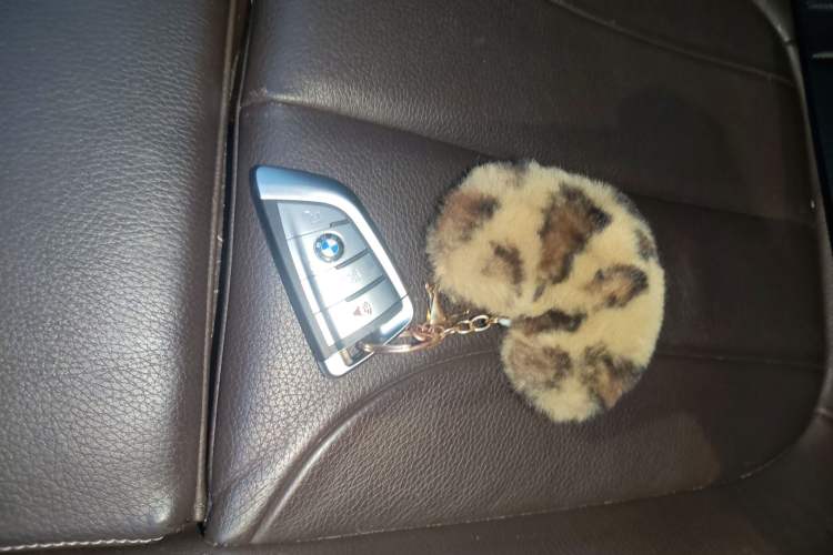 Used BMW X1 2018 sDrive18Li Luxury Model Vehicle Key