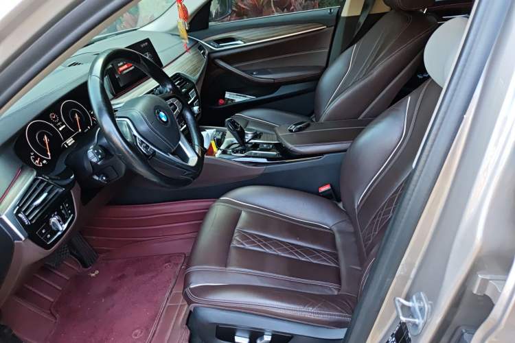 Used BMW 5 Series New Energy 2019 530Le Luxury Package