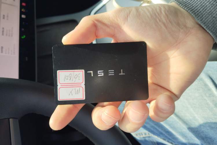 Used Tesla Model Y 2022 Rear-Wheel-Drive Version