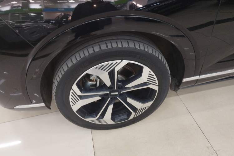 Used Wey Lanshan 2023 Four-Wheel Drive Ultra-Long Range Version
