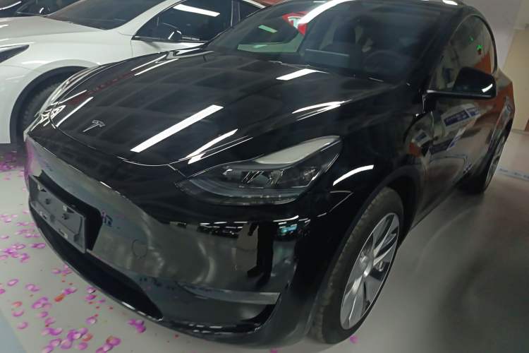 Used Tesla Model Y 2022 Long-Range All-Wheel-Drive Version