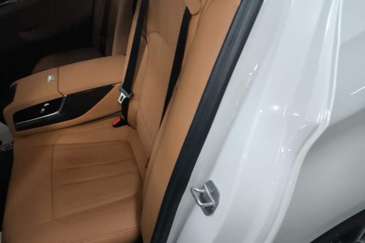 Used BMW 5 Series 2019 530Li Leading Model M Sport Package Left Rear Seat