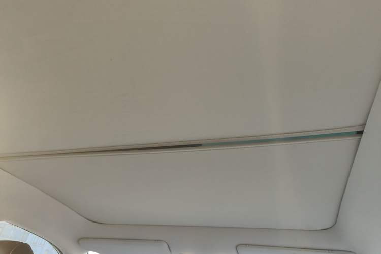 Used Venucia V 2022 260T Black Horse Edition · King
