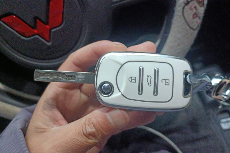 Used Wuling Zhiguang New Energy 2025 Standard Model
