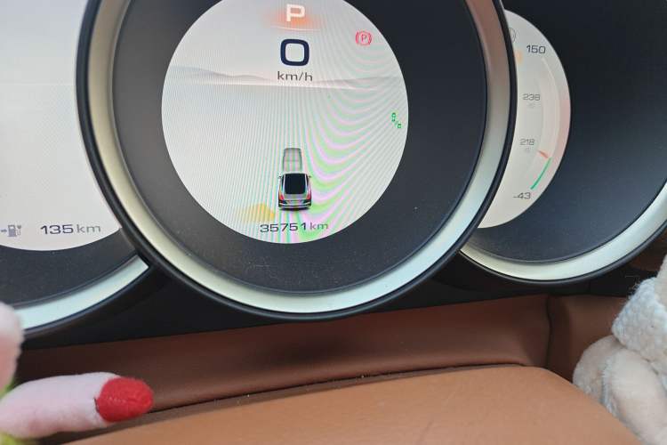 Used ORA Lightning Cat 2022 555 km Luxury Edition
