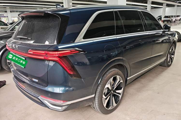 Used Wey Lanshan 2023 Four-Wheel Drive Ultra-Long Range Version