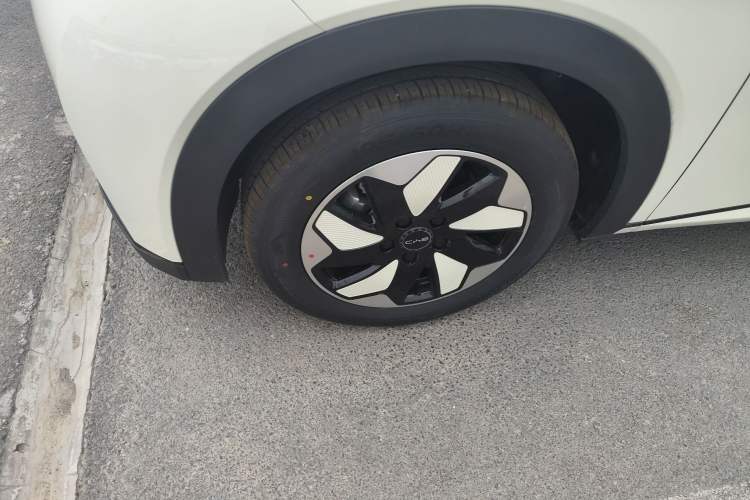 Used BYD Dolphin 2025 420km Free Edition
