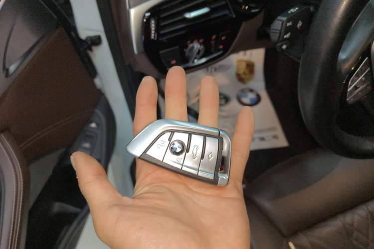 Used BMW 5 Series New Energy 2020 530Le Pioneer Edition
