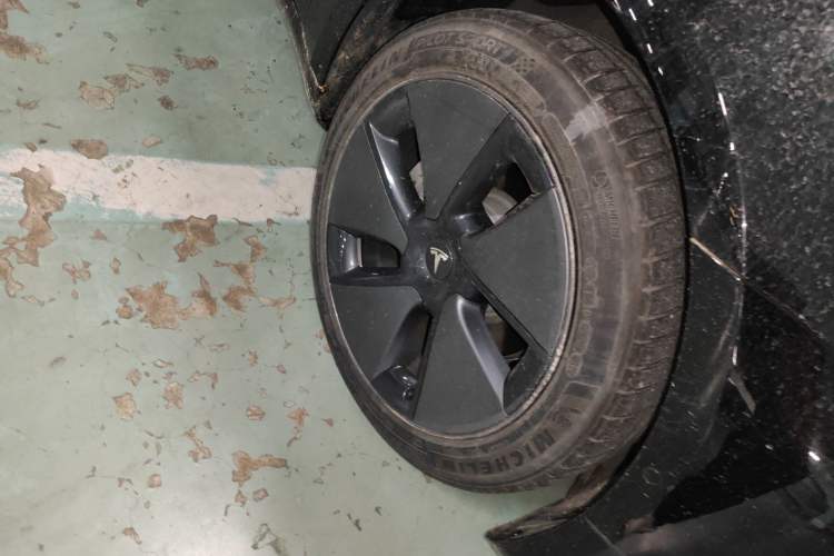 Used Tesla Model 3 2021 Revised Version Standard Range Rear-Wheel Drive Upgraded Edition 3D1