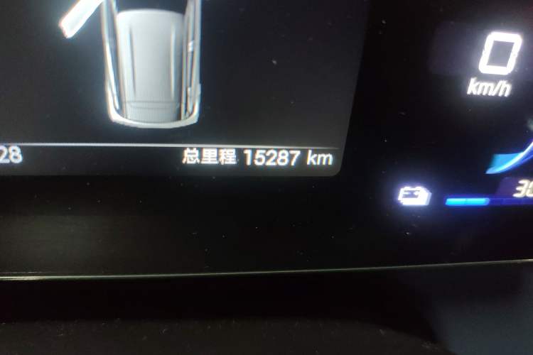 Used BYD Seagull 2025 305 km Free Version Odometer Close Up