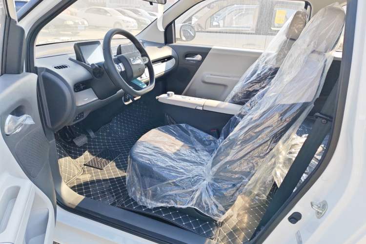 Used Qiyuan Lumin 2025 205 km Xiangqin Version