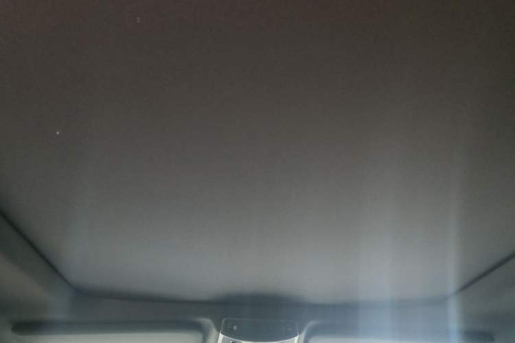 Used Ford F-150 Raptor 2019 3.5T Raptor Performance Enhanced Edition Headliner