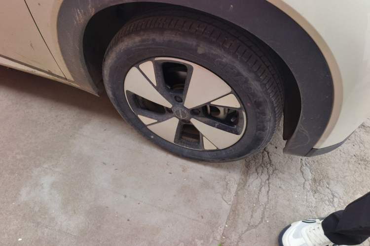 Used BYD Dolphin 2023 420 km Fashion Edition