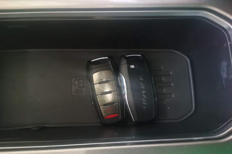 Used Haval DARGO 2021 1.5T DCT Two-Wheel Drive Labrador Edition
