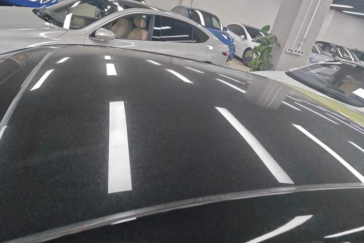 Used firefly firefly 2025 Illuminated Edition