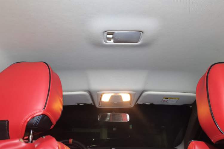 Used Venucia D60EV 2020 Standard Range Smart Drive Edition Headliner