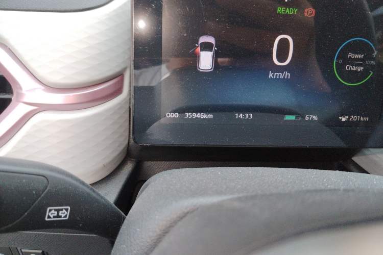 Used SOL E10X 2022 Flower Fairy Style Baby's Breath