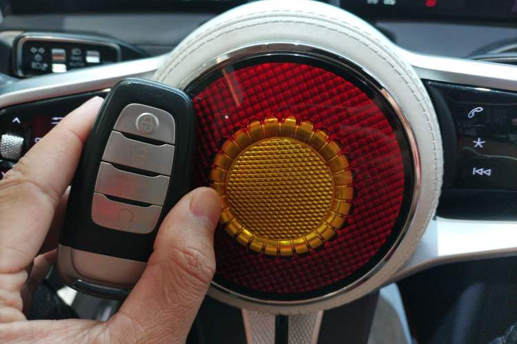 Used Hongqi E-HS9 2021 510 km Flagship Edition Four Seats
