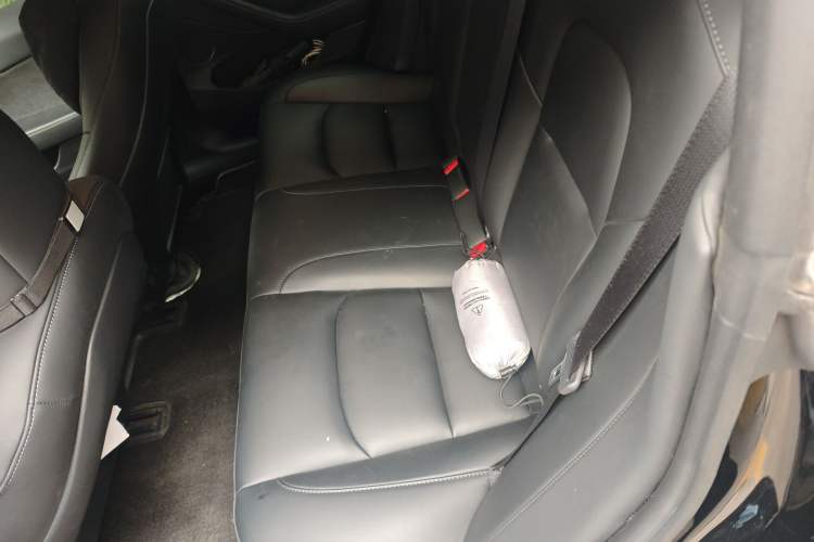 Used Tesla Model 3 2022 Rear-Wheel-Drive Version