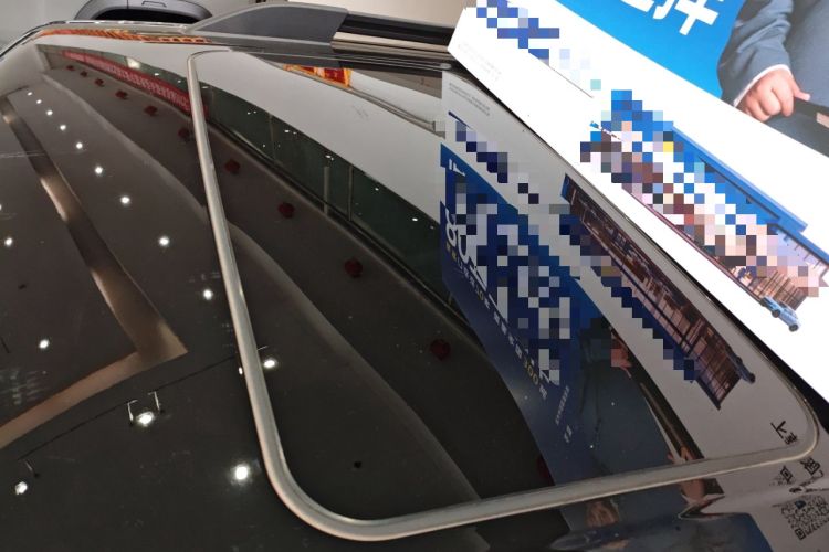 Used Tank 300 2024 2.0T Conqueror
