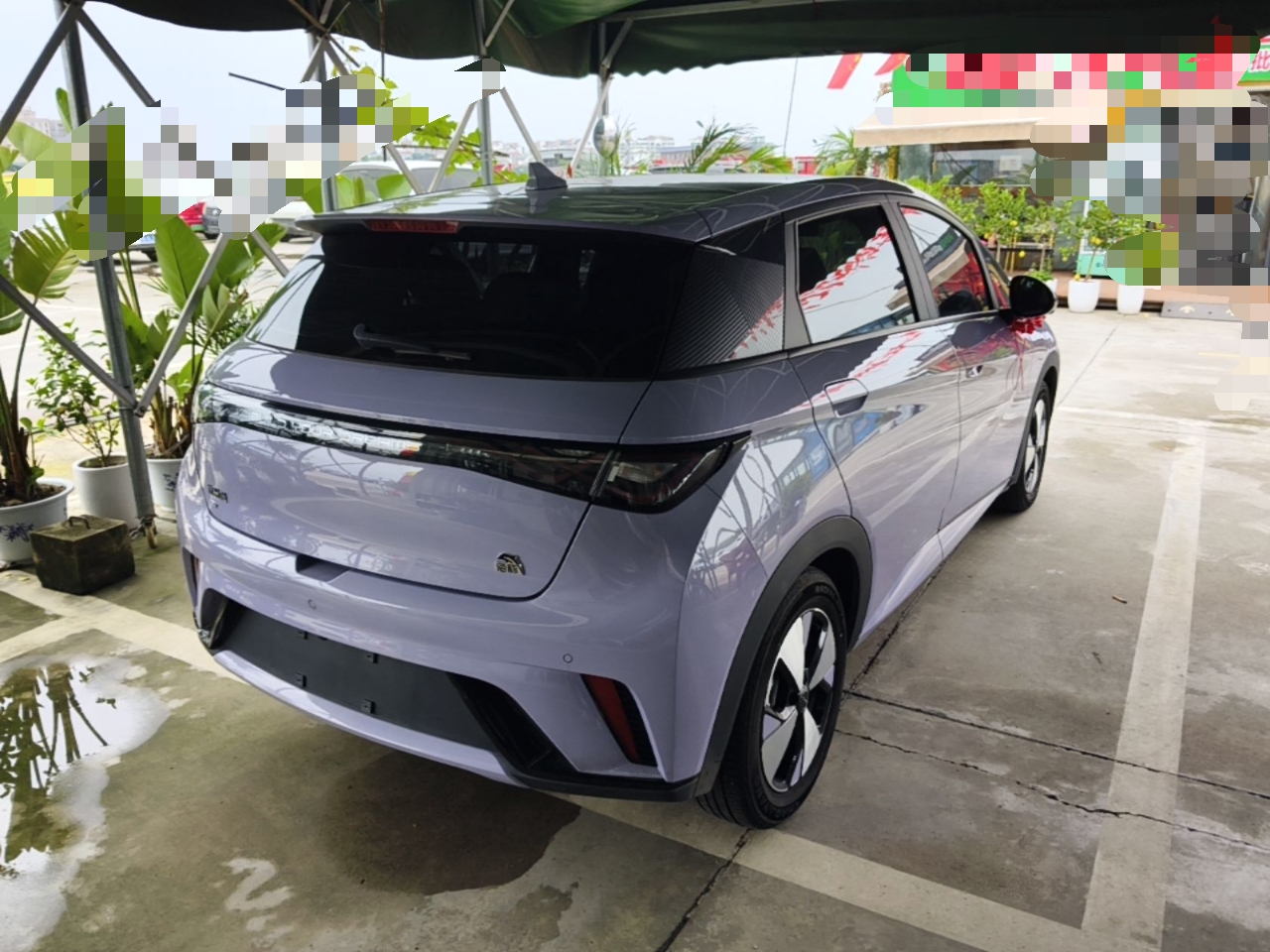BYD Dolphin 2023 420 km Fashion Edition — снимка 6