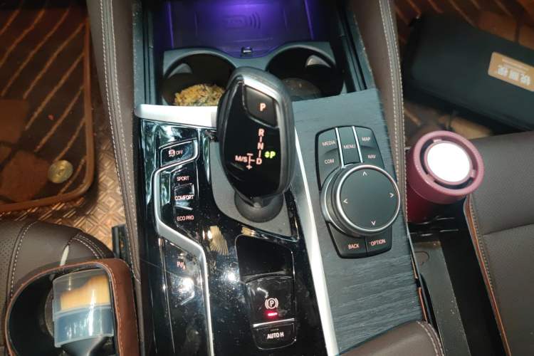 Used BMW 5 Series 2021 530Li Leading Model M Sport Package