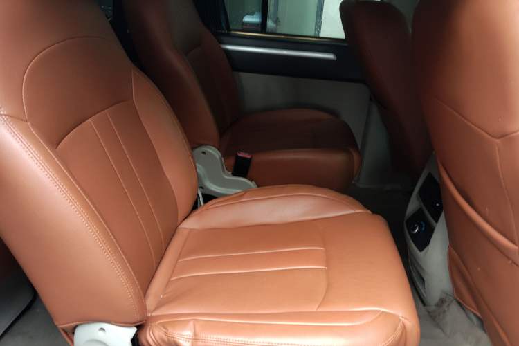 Used FORTHING Lingzhi M5 2020 Long-Range Version Comfort Model 9 Seats
