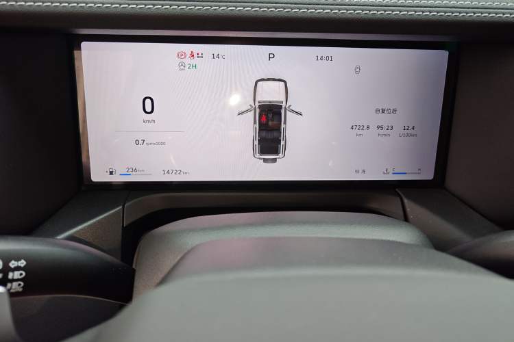 Used Tank 300 2025 2.0T Conqueror
