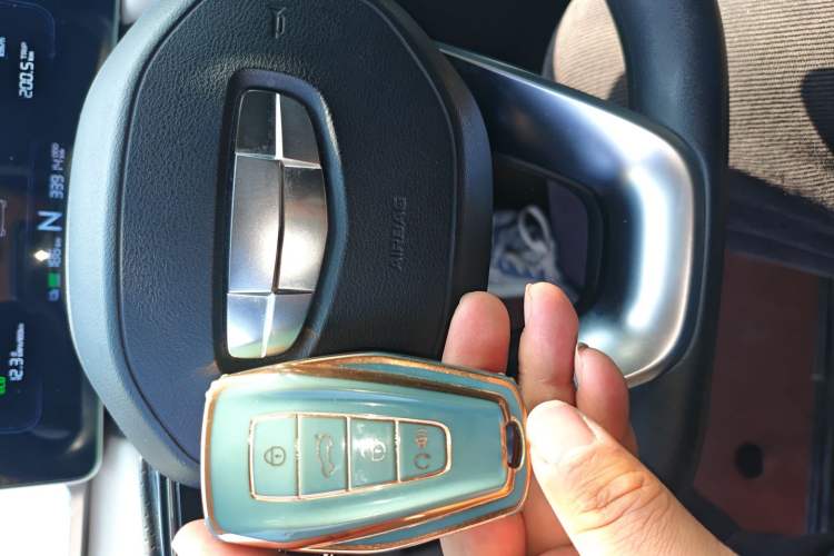 Used Geometry E Firefly 2022 320KM Cute Tiger 4-Seater
