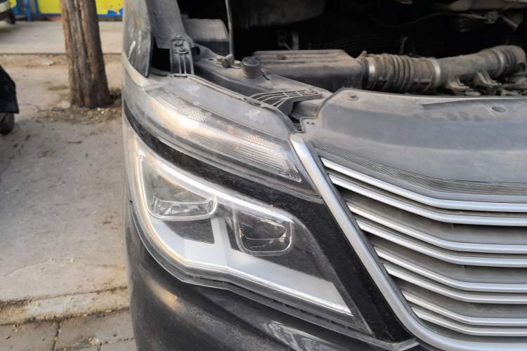 Used FORTHING Lingzhi 
