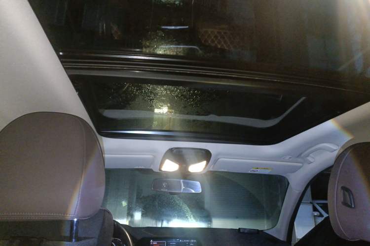 Used BMW 3 Series 2021 Facelifted 320Li M Sport Package Headliner