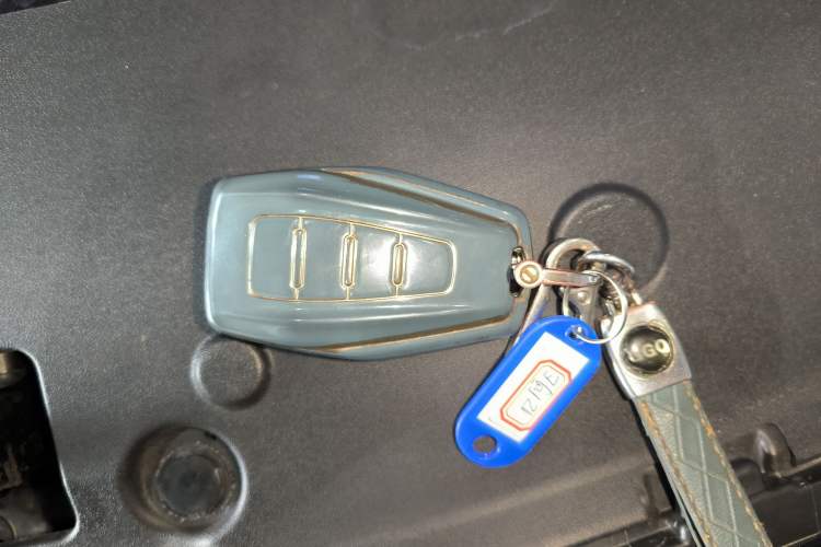 Used Geometry E Firefly 2022 401 km Linglong Tiger 4 Seats Interior 1