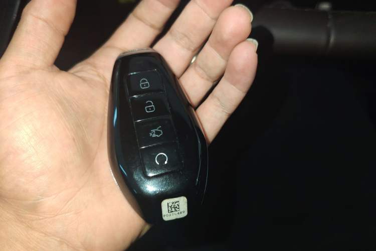 Used Denza Z9 2024 1100 km Four-Wheel Drive Max Version