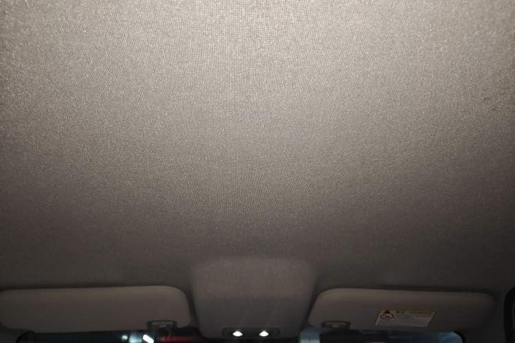 Used BYD e2 2021 Luxury Model Headliner