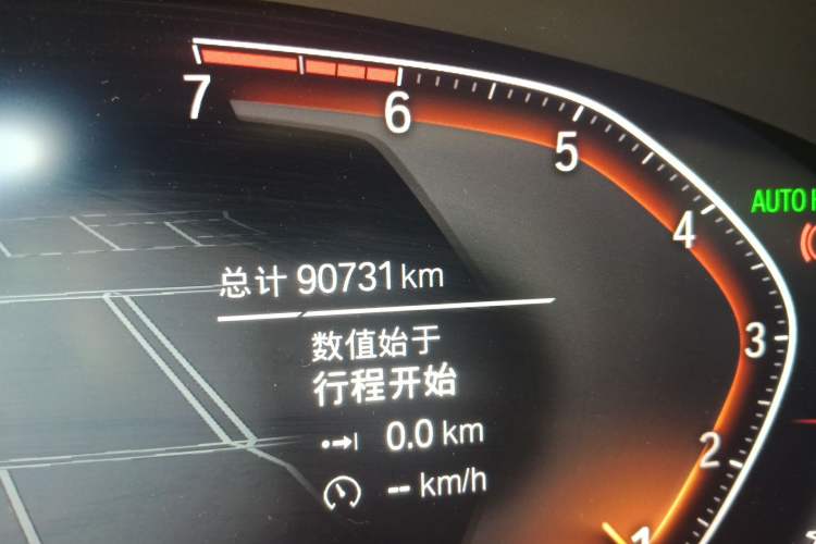 Used BMW 5 Series 2020 530Li Leading Edition Luxury Package