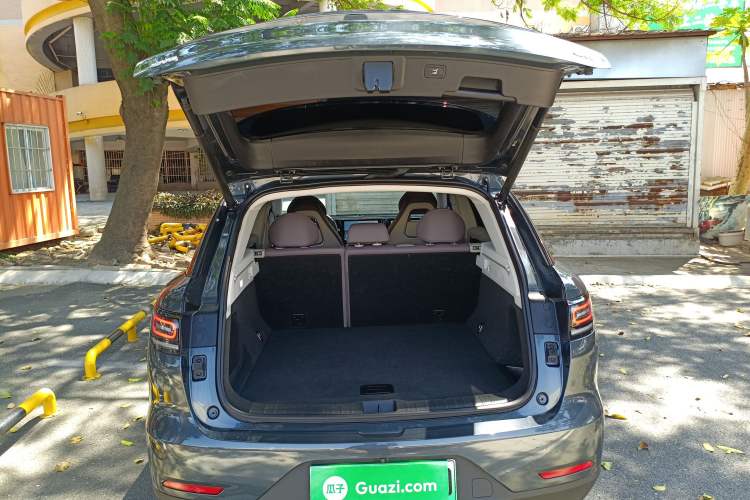 Used Leapmotor C11 2023 Range-Extended 300 Comfort Edition