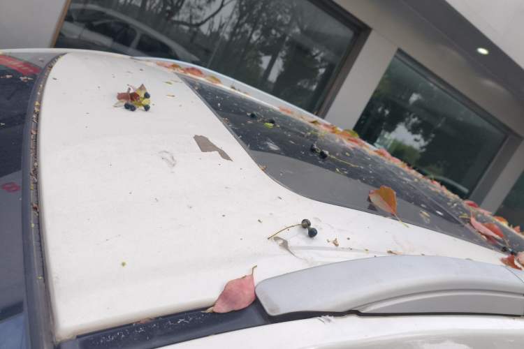 Used BAIC Senova X65 2015 2.0T Manual Elite Edition