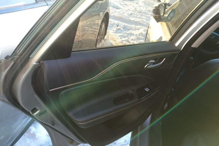 Used AION S 2022 Meizu 580 Left Rear Door Interior