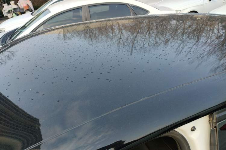 Used smart forfour 2016 1.0L 52 kW Dynamic Edition
