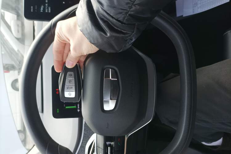 Used Geometry C 2022 400KM Blueberry Pro Vehicle Key