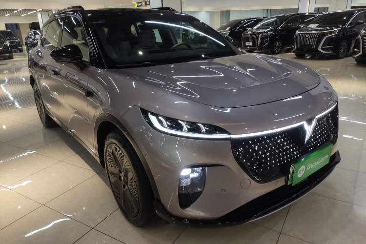 Used VOYAH COURAGE 2024 Four-Wheel Drive Global Edition