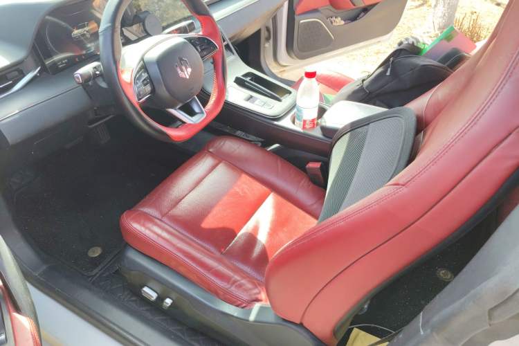 Used Leapmotor S01 2019 380 Pro Left Front Seat