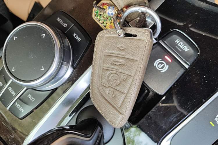 Used BMW 5 Series 2018 528Li Launch Special Edition Interior 1